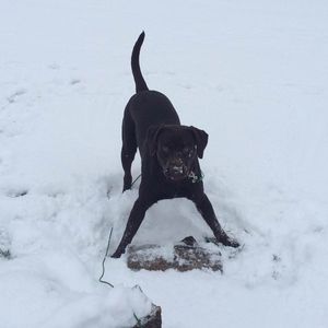 Meet your Posher, Lisa